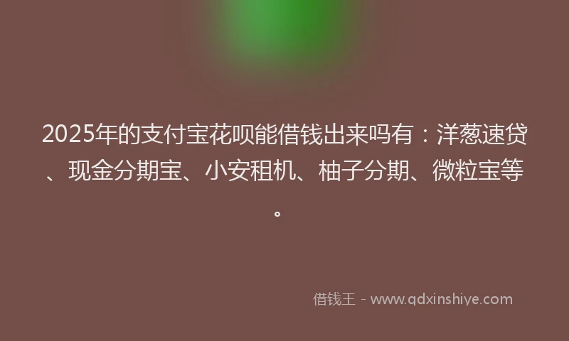 2025年的支付宝花呗能借钱出来吗有：洋葱速贷、现金分期宝、小安租机、柚子分期、微粒宝等。