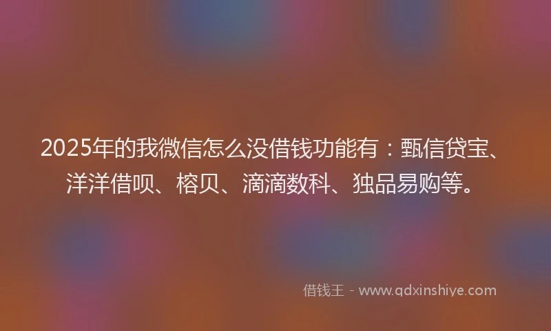 2025年的我微信怎么没借钱功能有：甄信贷宝、洋洋借呗、榕贝、滴滴数科、独品易购等。