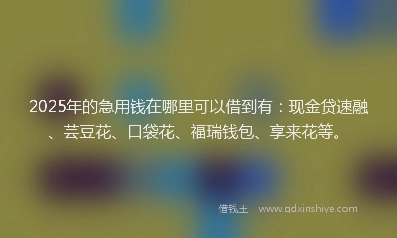 2025年的急用钱在哪里可以借到有：现金贷速融、芸豆花、口袋花、福瑞钱包、享来花等。