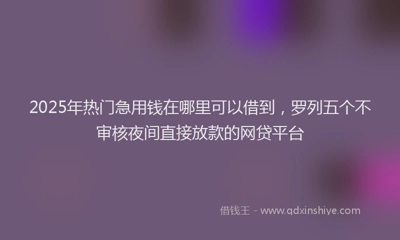 2025年热门急用钱在哪里可以借到，罗列五个不审核夜间直接放款的网贷平台