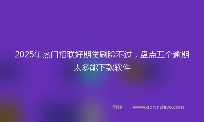 2025年热门招联好期贷刷脸不过，盘点五个逾期太多能下款软件