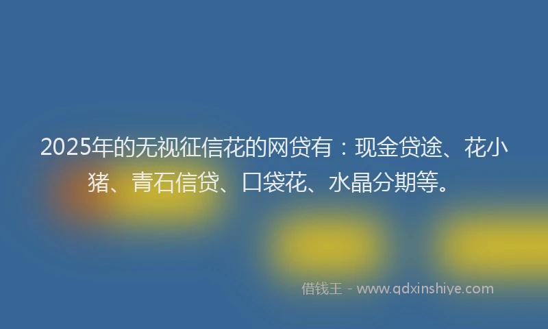 2025年的无视征信花的网贷有：现金贷途、花小猪、青石信贷、口袋花、水晶分期等。