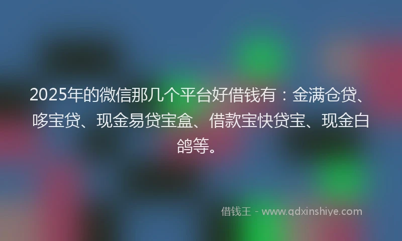 2025年的微信那几个平台好借钱有：金满仓贷、哆宝贷、现金易贷宝盒、借款宝快贷宝、现金白鸽等。