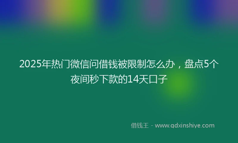 2025年热门微信问借钱被限制怎么办，盘点5个夜间秒下款的14天口子