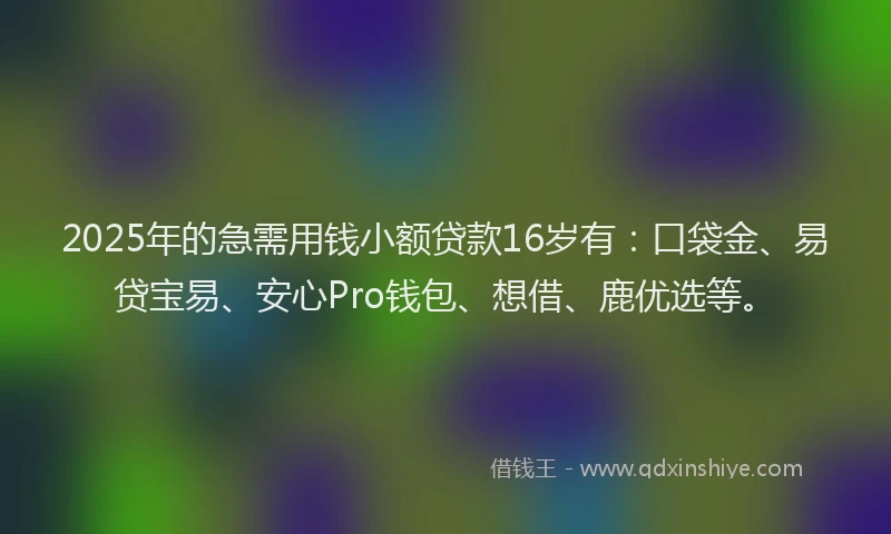 2025年的急需用钱小额贷款16岁有：口袋金、易贷宝易、安心Pro钱包、想借、鹿优选等。