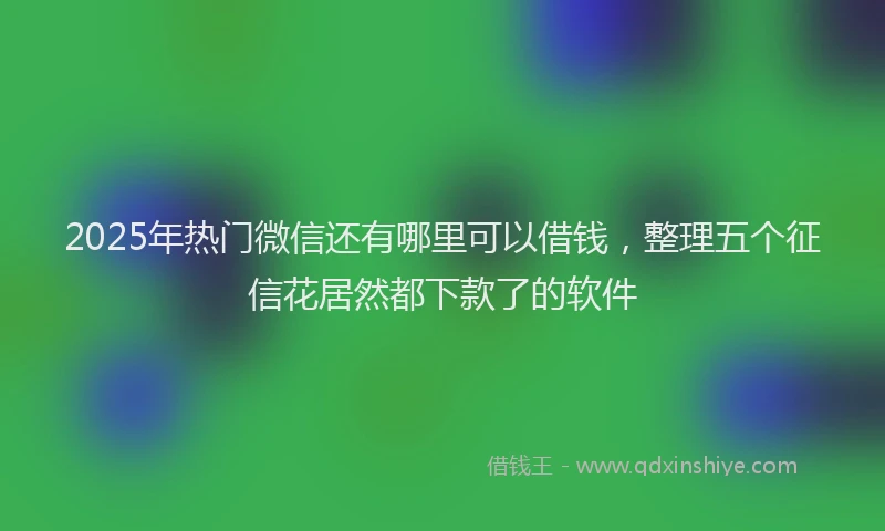 2025年热门微信还有哪里可以借钱，整理五个征信花居然都下款了的软件