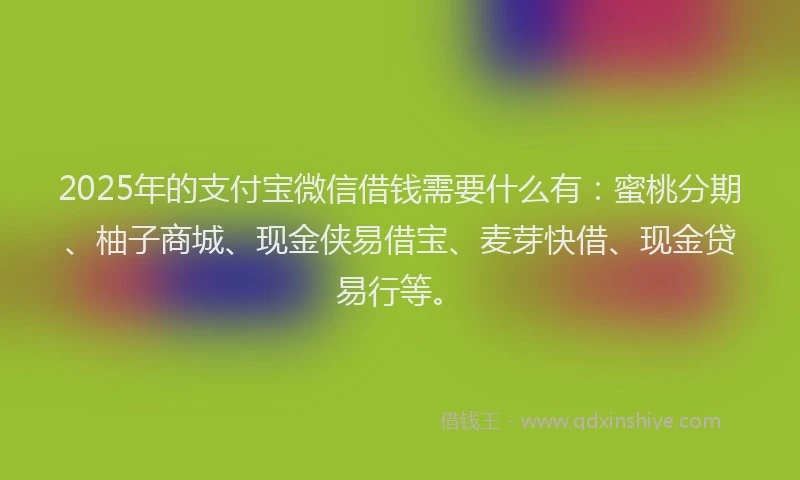 2025年的支付宝微信借钱需要什么有：蜜桃分期、柚子商城、现金侠易借宝、麦芽快借、现金贷易行等。