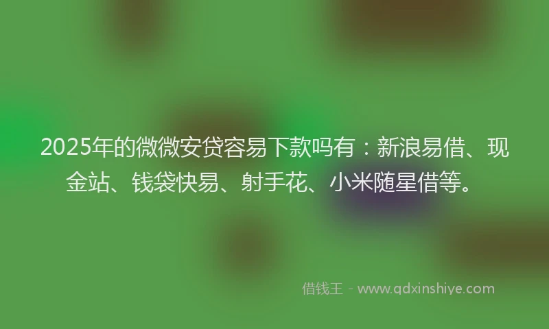 2025年的微微安贷容易下款吗有：新浪易借、现金站、钱袋快易、射手花、小米随星借等。