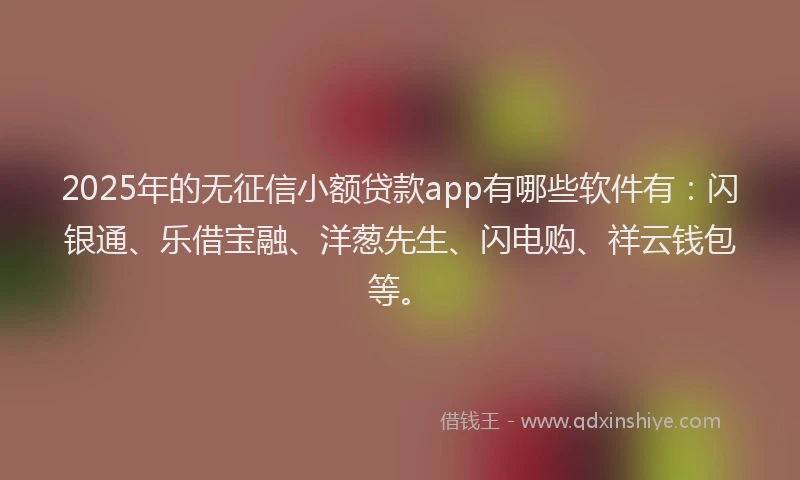2025年的无征信小额贷款app有哪些软件有：闪银通、乐借宝融、洋葱先生、闪电购、祥云钱包等。
