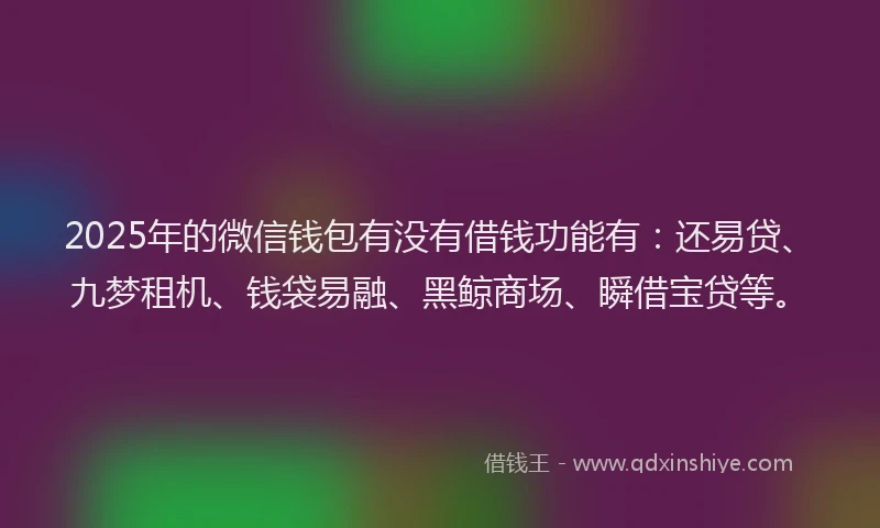 2025年的微信钱包有没有借钱功能有：还易贷、九梦租机、钱袋易融、黑鲸商场、瞬借宝贷等。