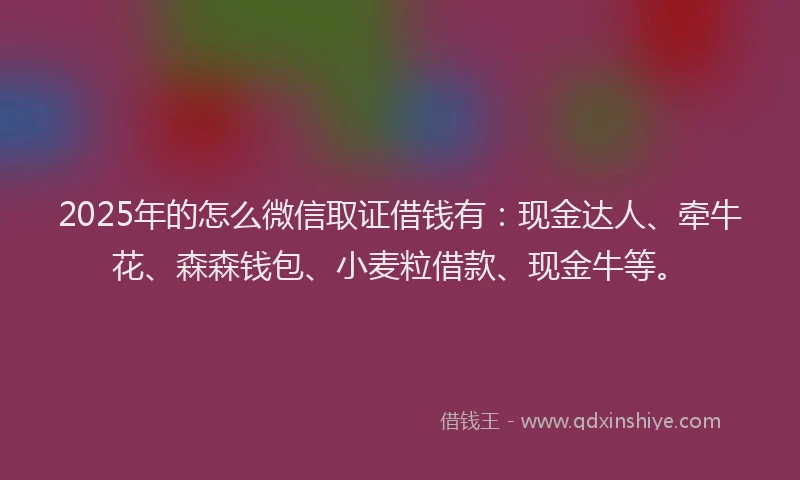 2025年的怎么微信取证借钱有：现金达人、牵牛花、森森钱包、小麦粒借款、现金牛等。