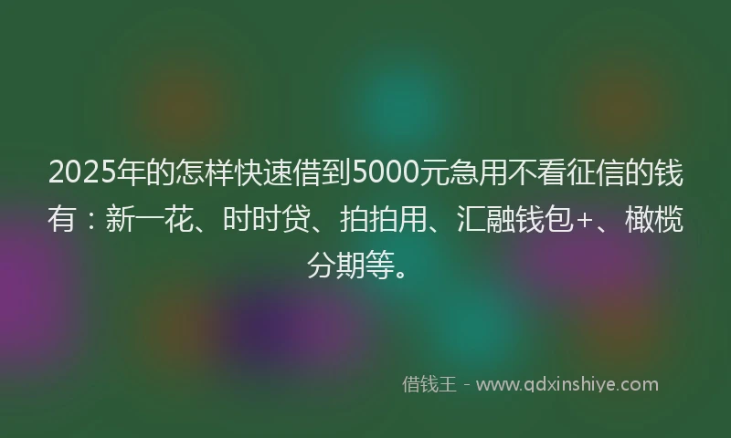 2025年的怎样快速借到5000元急用不看征信的钱有：新一花、时时贷、拍拍用、汇融钱包+、橄榄分期等。