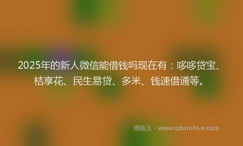 2025年的新人微信能借钱吗现在有：哆哆贷宝、桔享花、民生易贷、多米、钱速借通等。