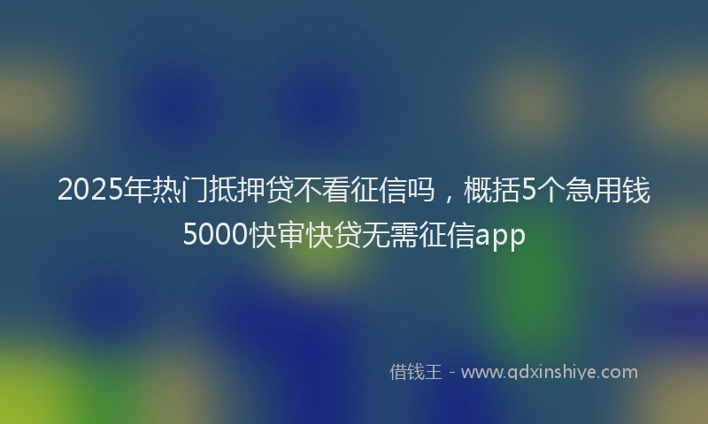 2025年热门抵押贷不看征信吗，概括5个急用钱5000快审快贷无需征信app