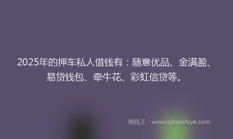 2025年的押车私人借钱有：随意优品、金满盈、易贷钱包、牵牛花、彩虹信贷等。