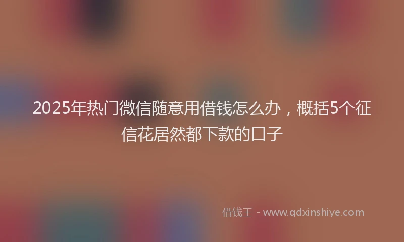 2025年热门微信随意用借钱怎么办，概括5个征信花居然都下款的口子