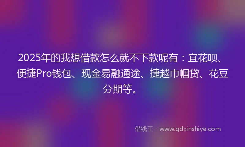 2025年的我想借款怎么就不下款呢有：宜花呗、便捷Pro钱包、现金易融通途、捷越巾帼贷、花豆分期等。