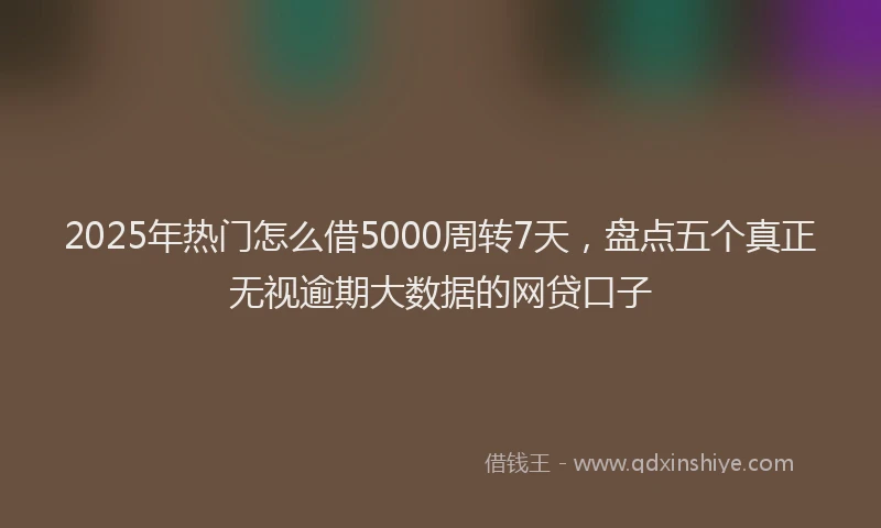 2025年热门怎么借5000周转7天，盘点五个真正无视逾期大数据的网贷口子
