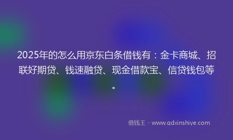 2025年的怎么用京东白条借钱有：金卡商城、招联好期贷、钱速融贷、现金借款宝、信贷钱包等。