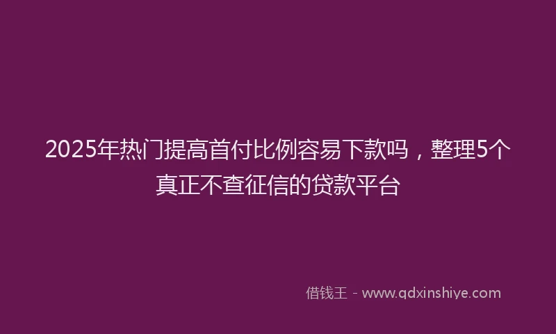 2025年热门提高首付比例容易下款吗，整理5个真正不查征信的贷款平台