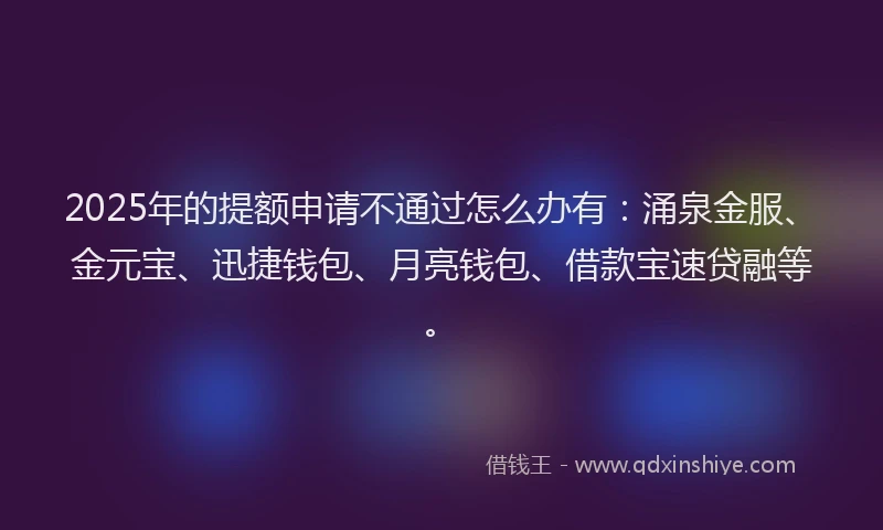 2025年的提额申请不通过怎么办有：涌泉金服、金元宝、迅捷钱包、月亮钱包、借款宝速贷融等。