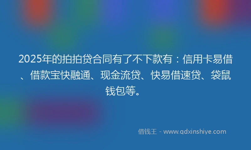 2025年的拍拍贷合同有了不下款有：信用卡易借、借款宝快融通、现金流贷、快易借速贷、袋鼠钱包等。