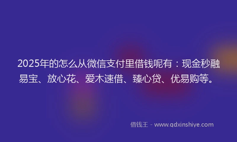 2025年的怎么从微信支付里借钱呢有：现金秒融易宝、放心花、爱木速借、臻心贷、优易购等。