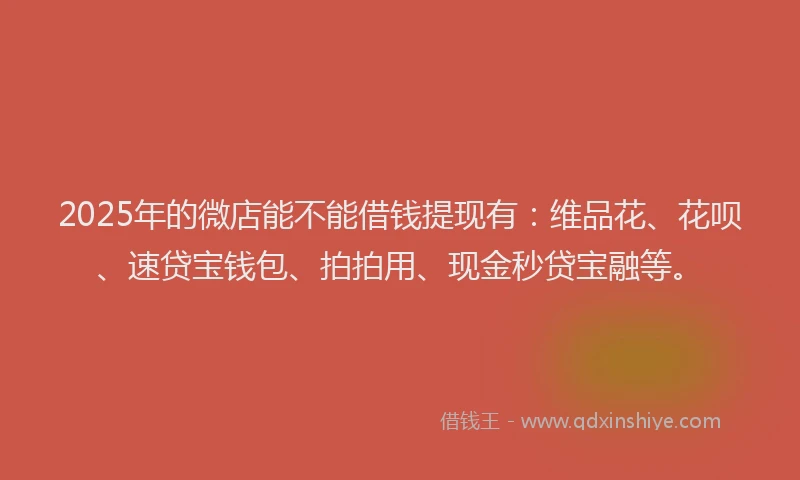 2025年的微店能不能借钱提现有：维品花、花呗、速贷宝钱包、拍拍用、现金秒贷宝融等。