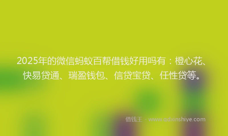 2025年的微信蚂蚁百帮借钱好用吗有：橙心花、快易贷通、瑞盈钱包、信贷宝贷、任性贷等。