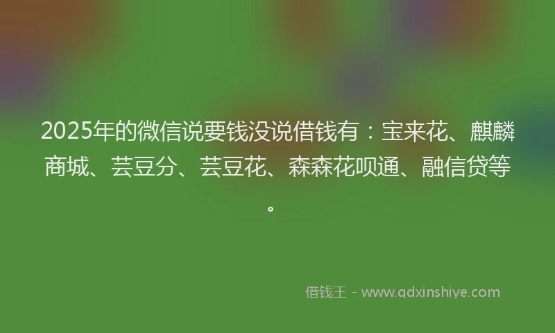 2025年的微信说要钱没说借钱有：宝来花、麒麟商城、芸豆分、芸豆花、森森花呗通、融信贷等。