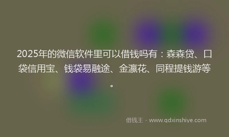 2025年的微信软件里可以借钱吗有：森森贷、口袋信用宝、钱袋易融途、金瀛花、同程提钱游等。