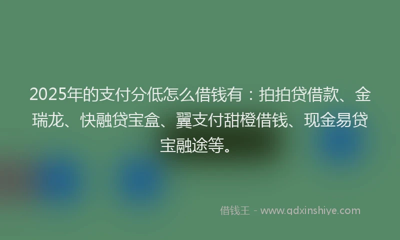 2025年的支付分低怎么借钱有：拍拍贷借款、金瑞龙、快融贷宝盒、翼支付甜橙借钱、现金易贷宝融途等。