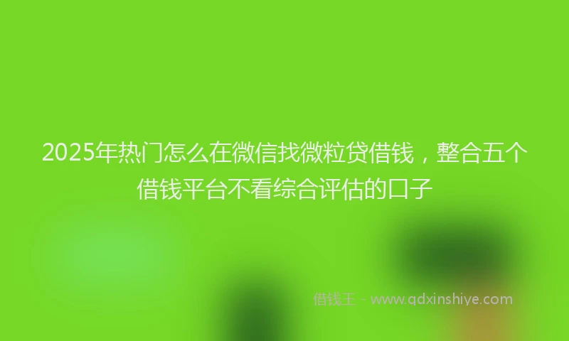 2025年热门怎么在微信找微粒贷借钱，整合五个借钱平台不看综合评估的口子