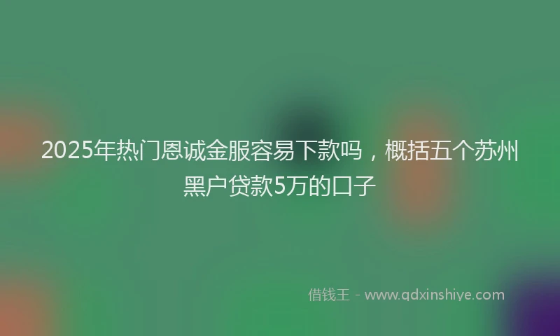 2025年热门恩诚金服容易下款吗，概括五个苏州黑户贷款5万的口子