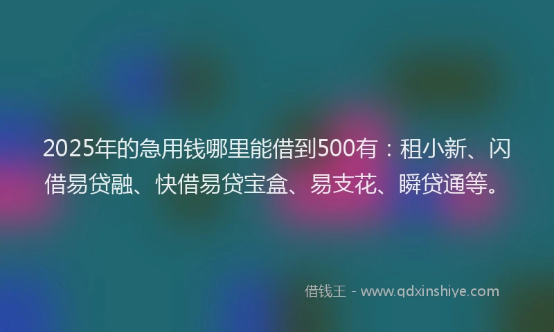 2025年的急用钱哪里能借到500有：租小新、闪借易贷融、快借易贷宝盒、易支花、瞬贷通等。