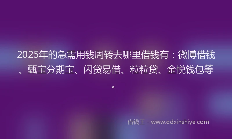 2025年的急需用钱周转去哪里借钱有：微博借钱、甄宝分期宝、闪贷易借、粒粒贷、金悦钱包等。