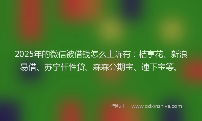 2025年的微信被借钱怎么上诉有：桔享花、新浪易借、苏宁任性贷、森森分期宝、速下宝等。