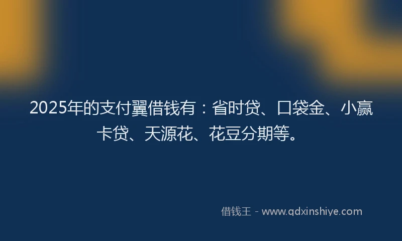 2025年的支付翼借钱有：省时贷、口袋金、小赢卡贷、天源花、花豆分期等。