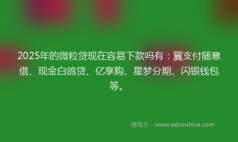 2025年的微粒贷现在容易下款吗有：翼支付随意借、现金白鸽贷、亿享购、星梦分期、闪银钱包等。