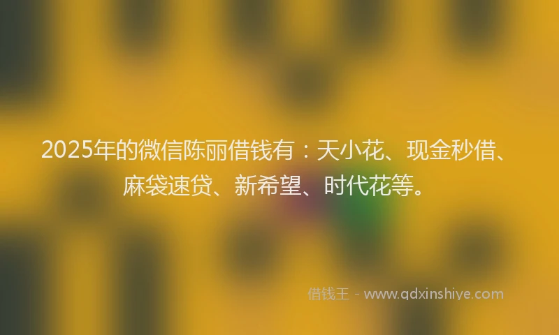 2025年的微信陈丽借钱有：天小花、现金秒借、麻袋速贷、新希望、时代花等。