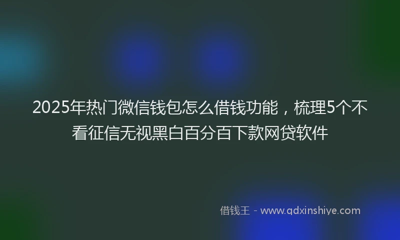 2025年热门微信钱包怎么借钱功能，梳理5个不看征信无视黑白百分百下款网贷软件