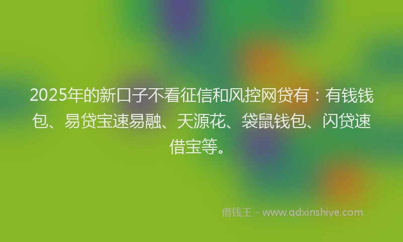2025年的新口子不看征信和风控网贷有：有钱钱包、易贷宝速易融、天源花、袋鼠钱包、闪贷速借宝等。