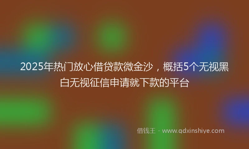 2025年热门放心借贷款微金沙，概括5个无视黑白无视征信申请就下款的平台