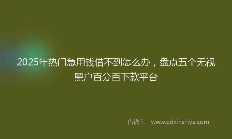 2025年热门急用钱借不到怎么办，盘点五个无视黑户百分百下款平台