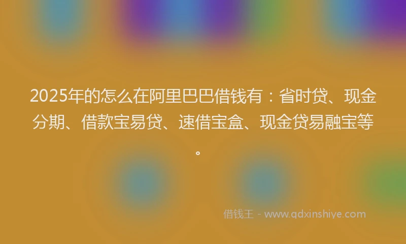 2025年的怎么在阿里巴巴借钱有：省时贷、现金分期、借款宝易贷、速借宝盒、现金贷易融宝等。