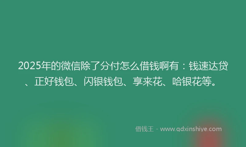 2025年的微信除了分付怎么借钱啊有：钱速达贷、正好钱包、闪银钱包、享来花、哈银花等。