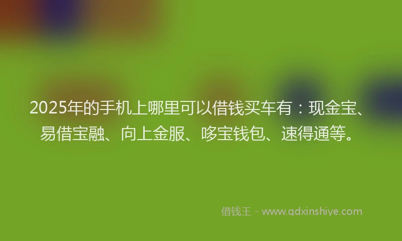2025年的手机上哪里可以借钱买车有：现金宝、易借宝融、向上金服、哆宝钱包、速得通等。