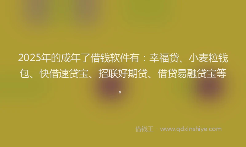 2025年的成年了借钱软件有：幸福贷、小麦粒钱包、快借速贷宝、招联好期贷、借贷易融贷宝等。