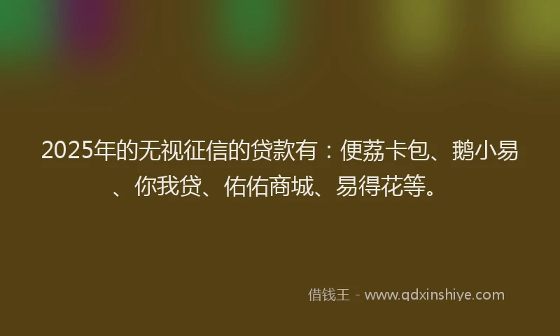2025年的无视征信的贷款有：便荔卡包、鹅小易、你我贷、佑佑商城、易得花等。