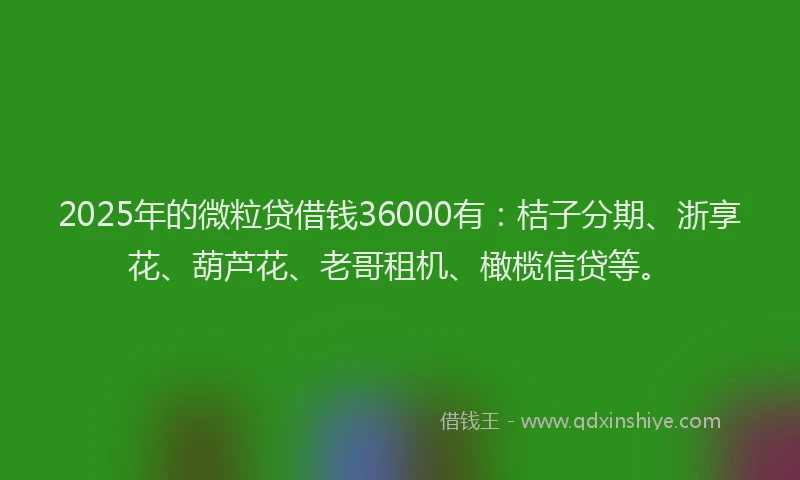 2025年的微粒贷借钱36000有：桔子分期、浙享花、葫芦花、老哥租机、橄榄信贷等。
